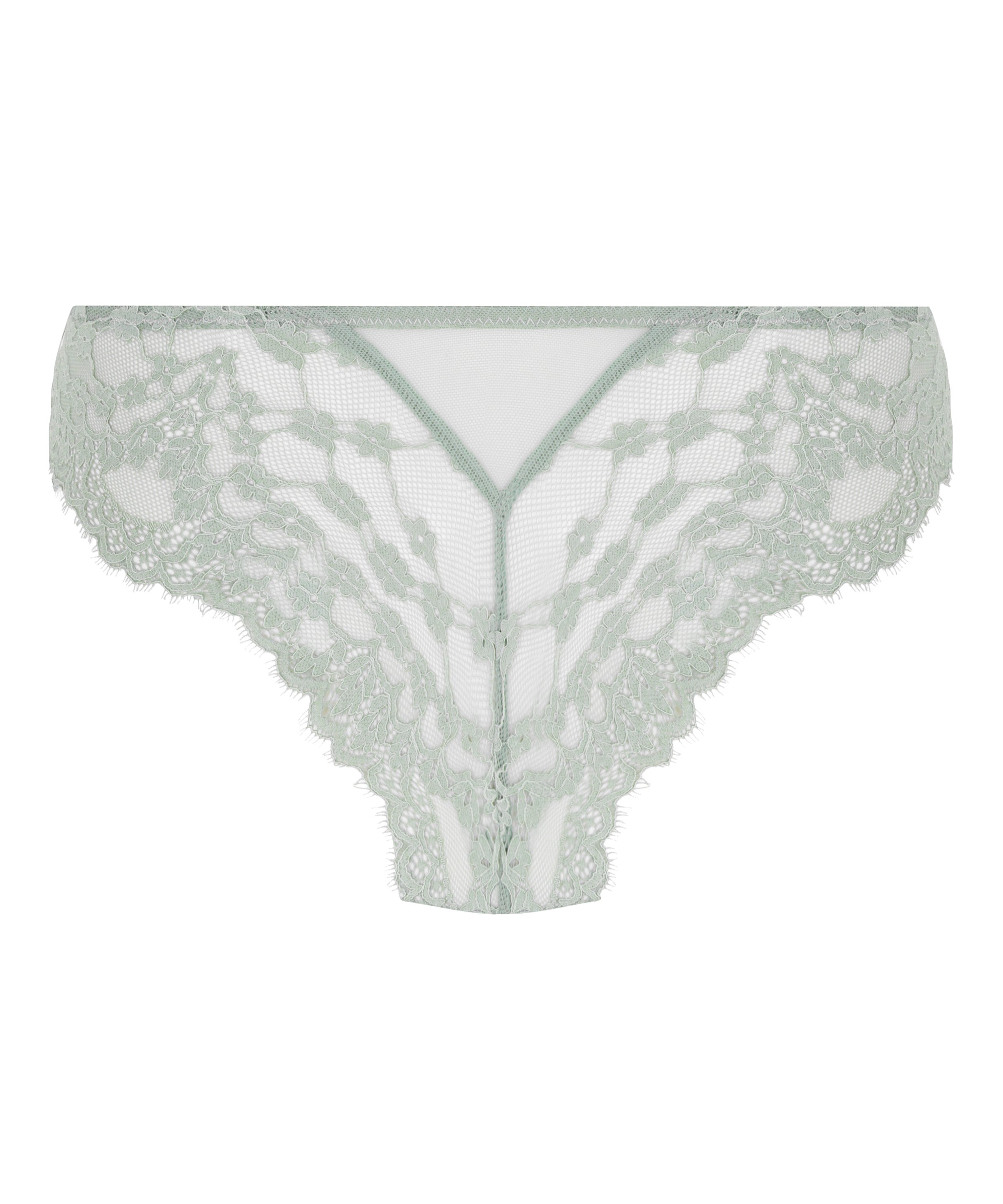 Brazyliany Daisy, Zielony, main