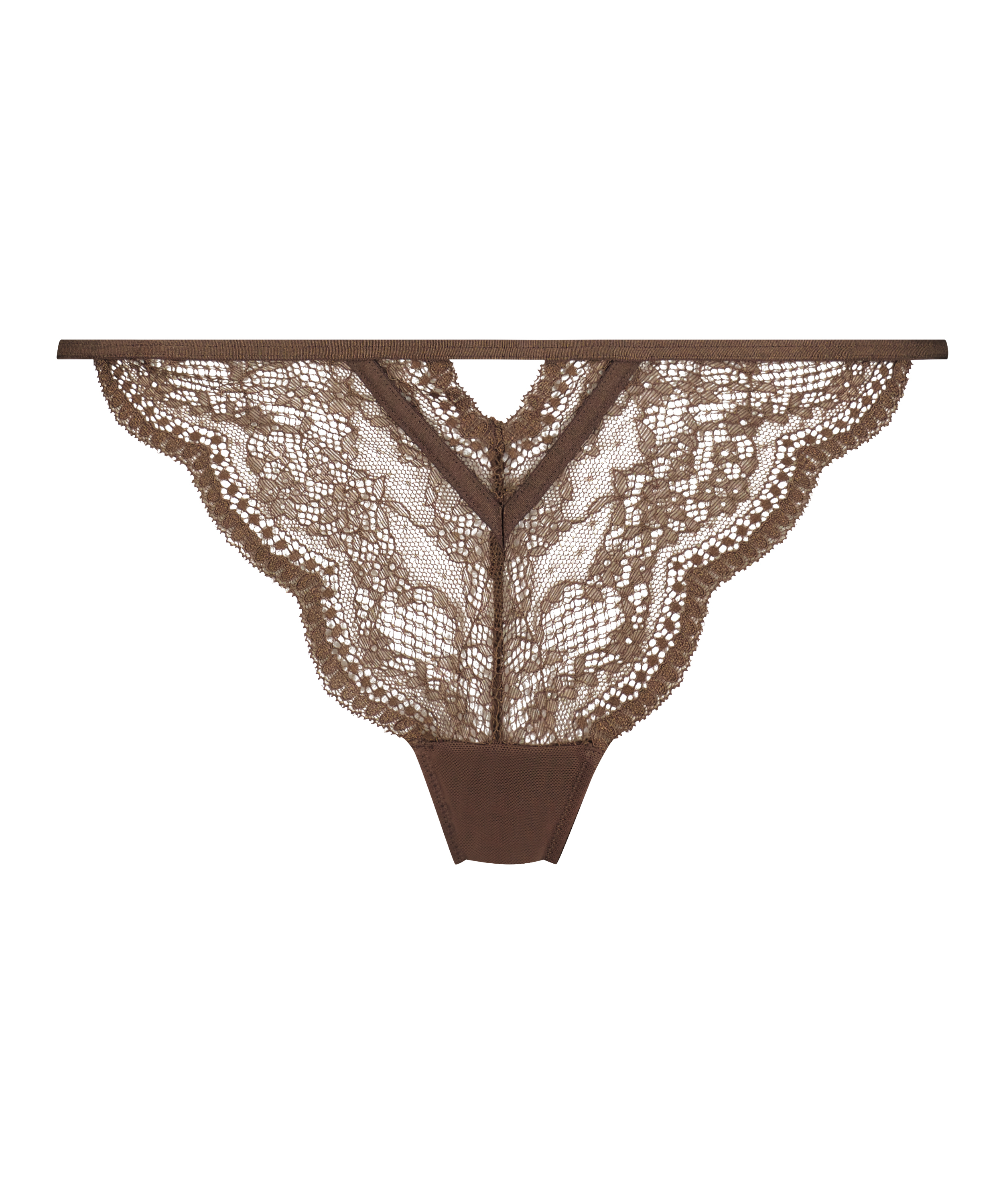 Brazyliany Isabelle, Brązowy, main