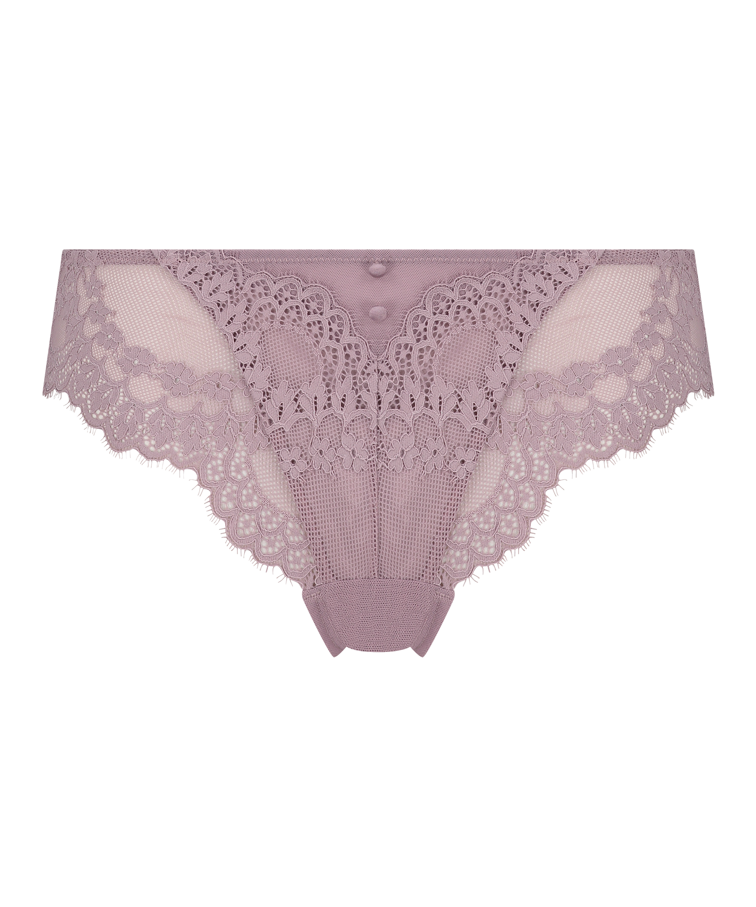 Brazyliany Daisy, Fioletowy, main