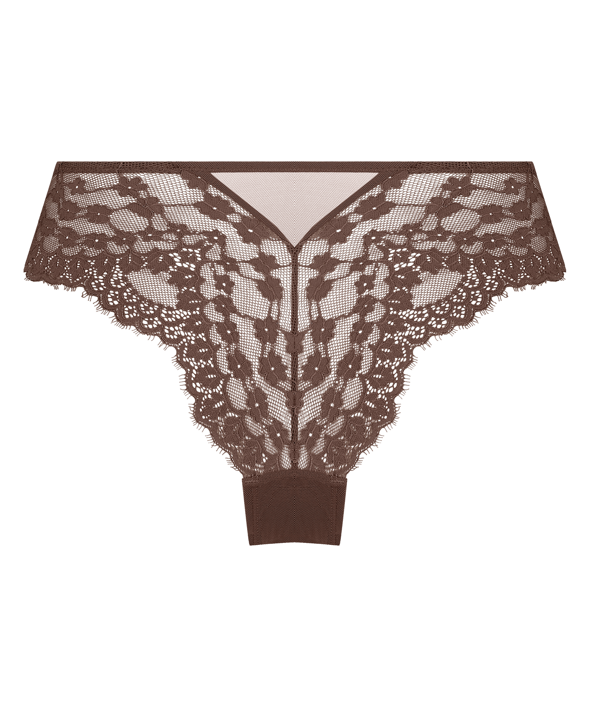 Brazyliany Daisy, Brązowy, main