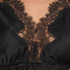 Butterfly Top Legacy, Czarny