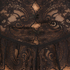 Top Allover Lace Legacy, Czarny