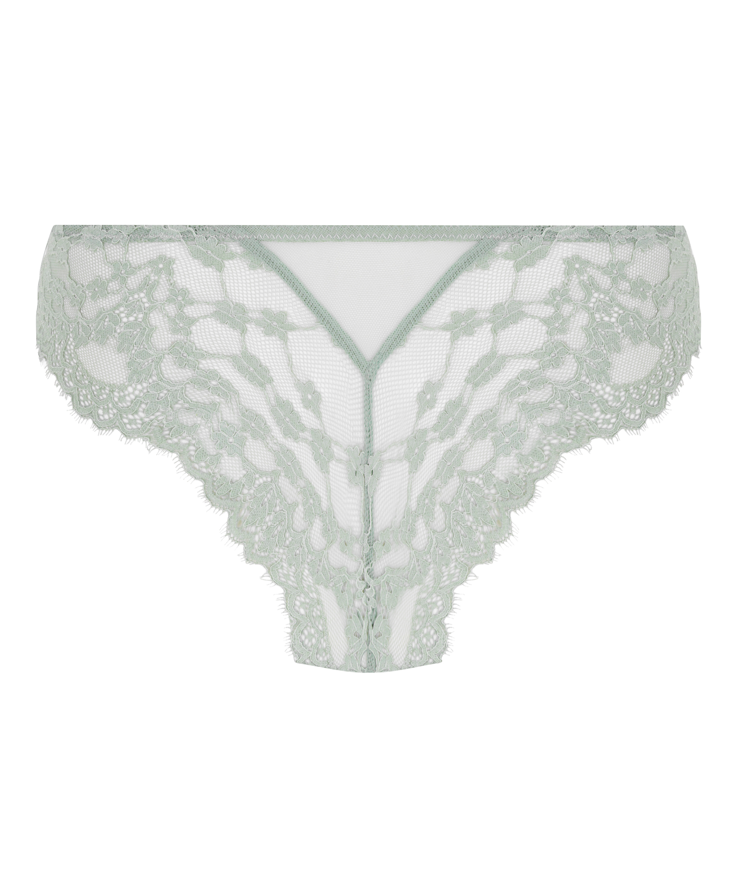 Brazyliany Daisy, Zielony, main