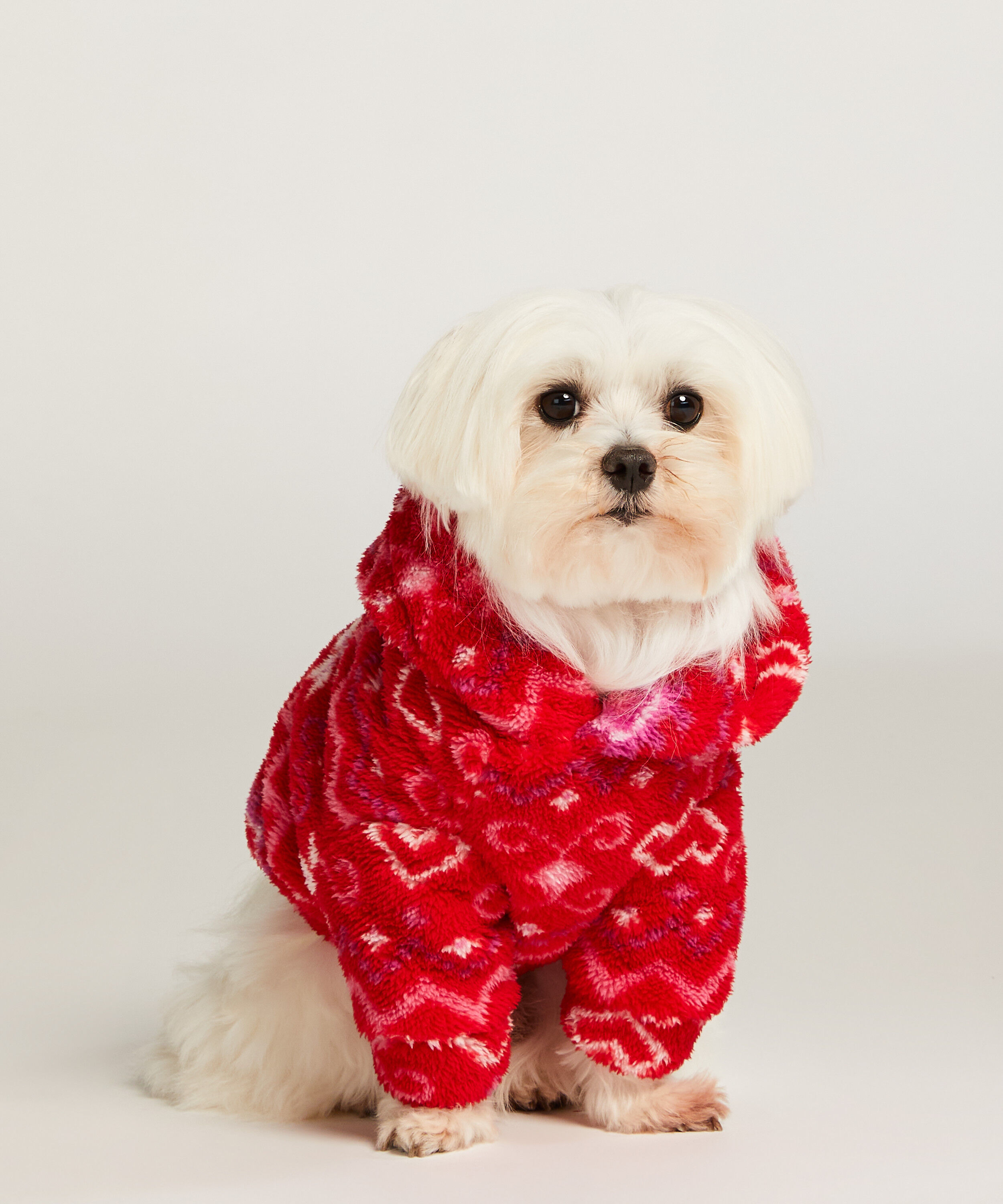 Pies Onesie, Czerwony