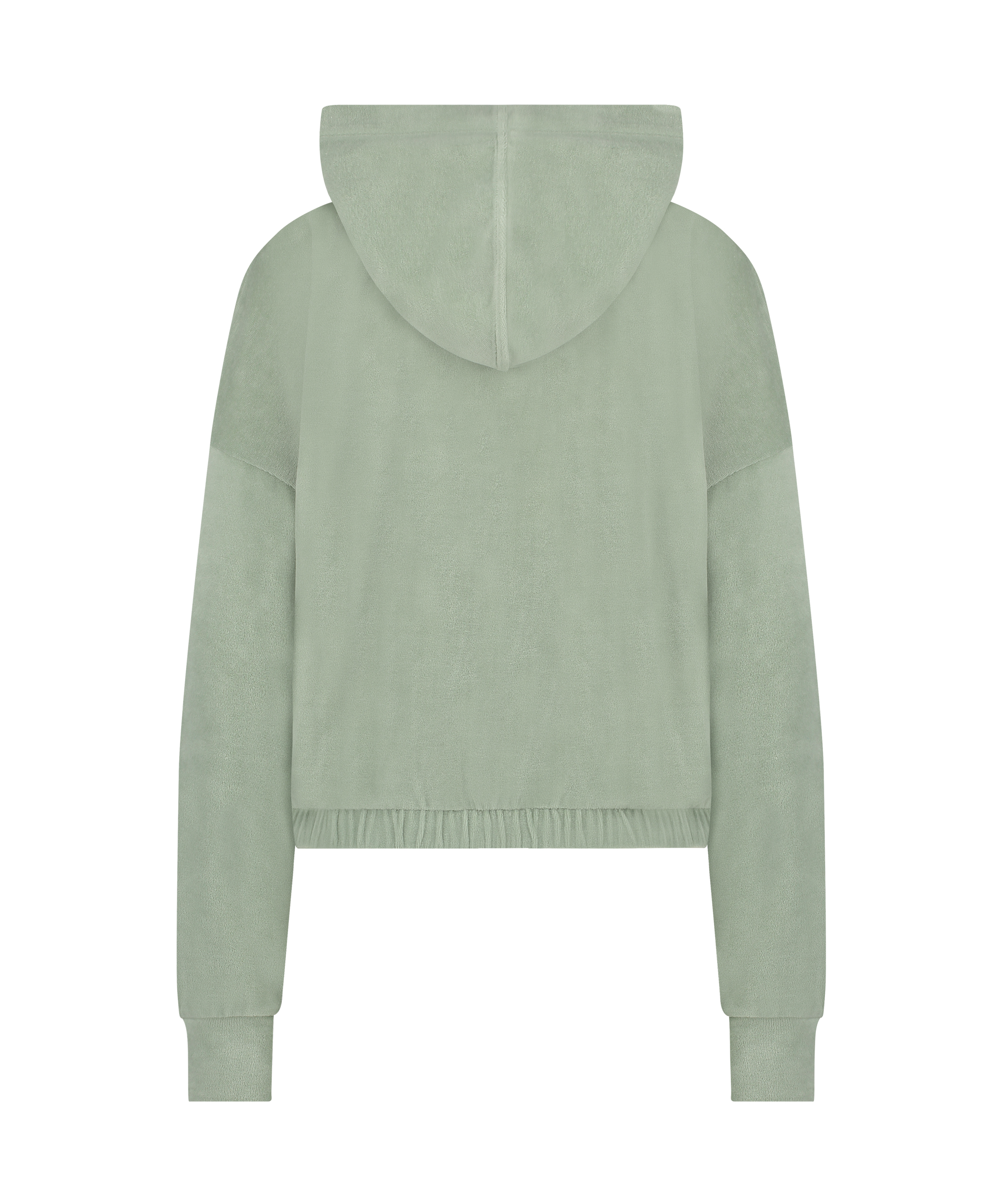 Bluza z długimi rękawami z weluru, Zielony, main