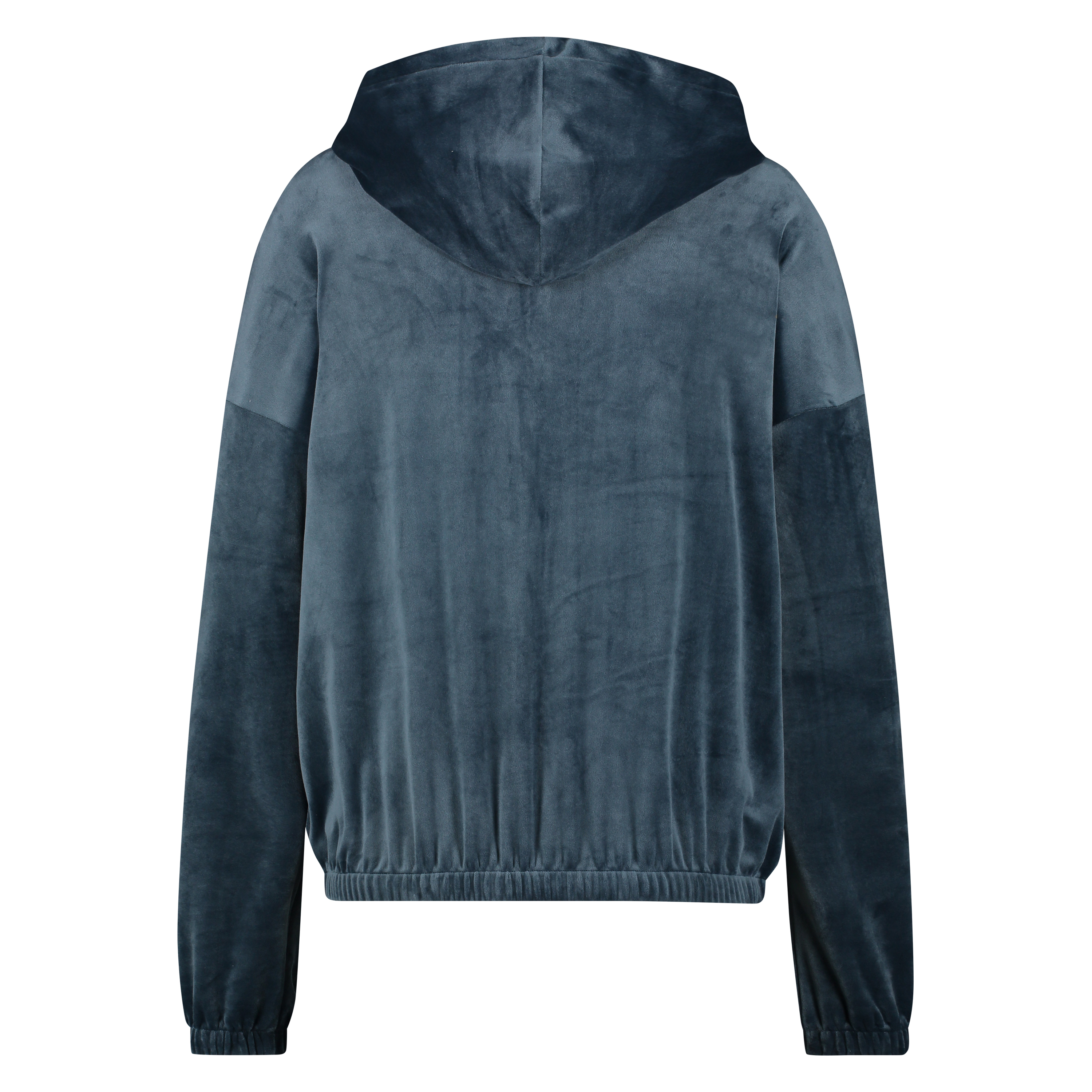 Velvet hoodie jacket, Niebieski, main