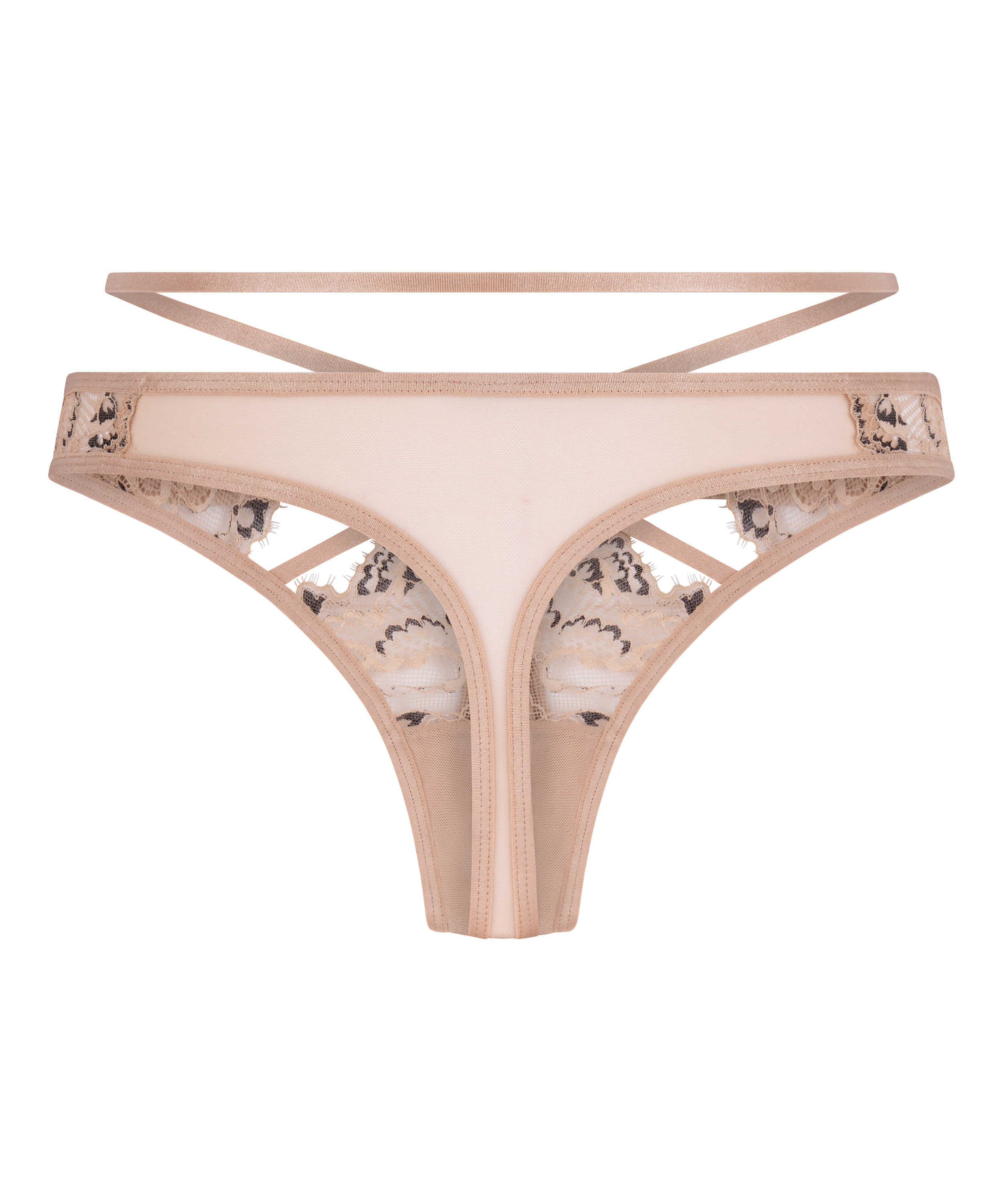 Stringi Wera, Brązowy, main