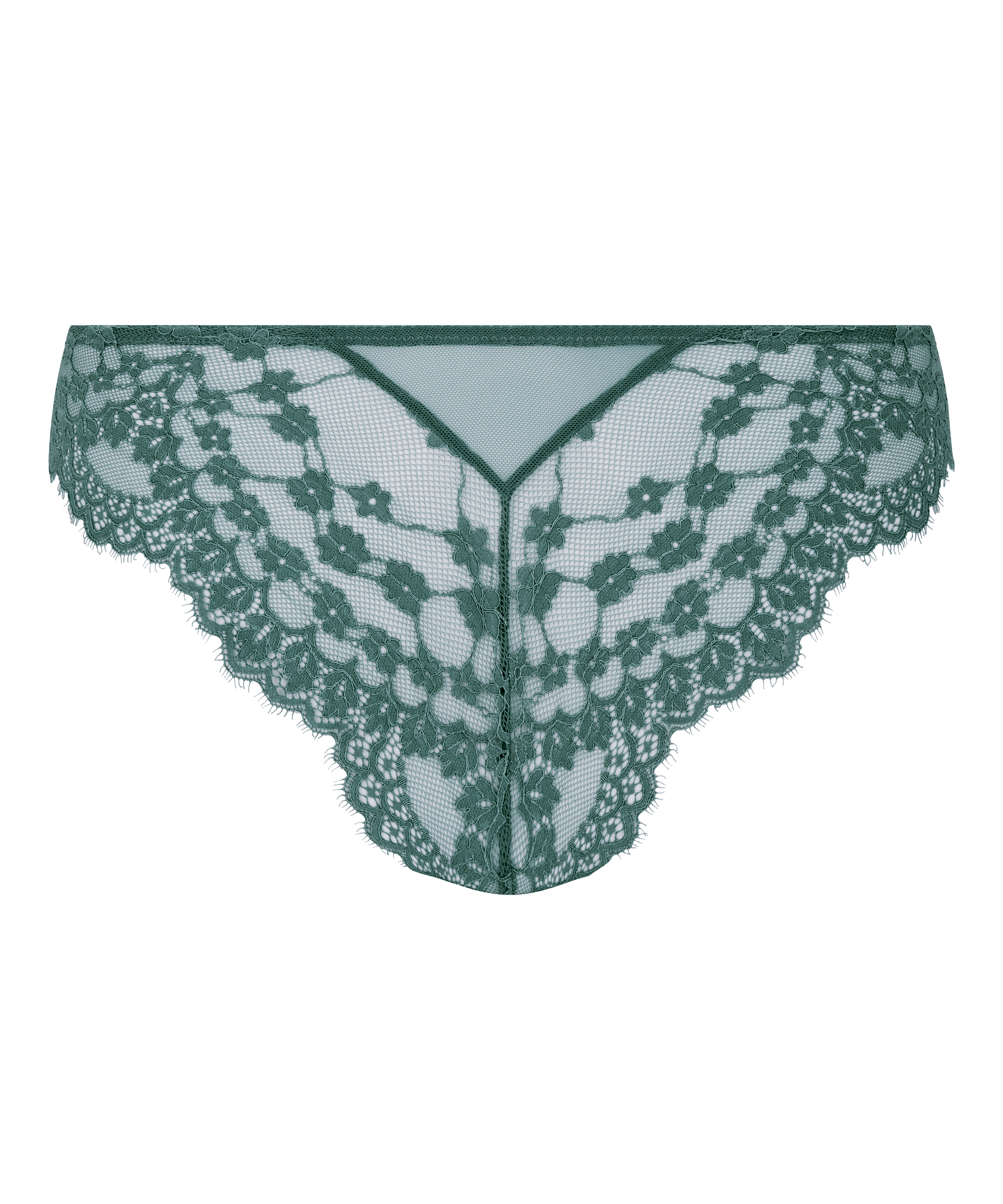 Brazyliany Daisy, Niebieski, main