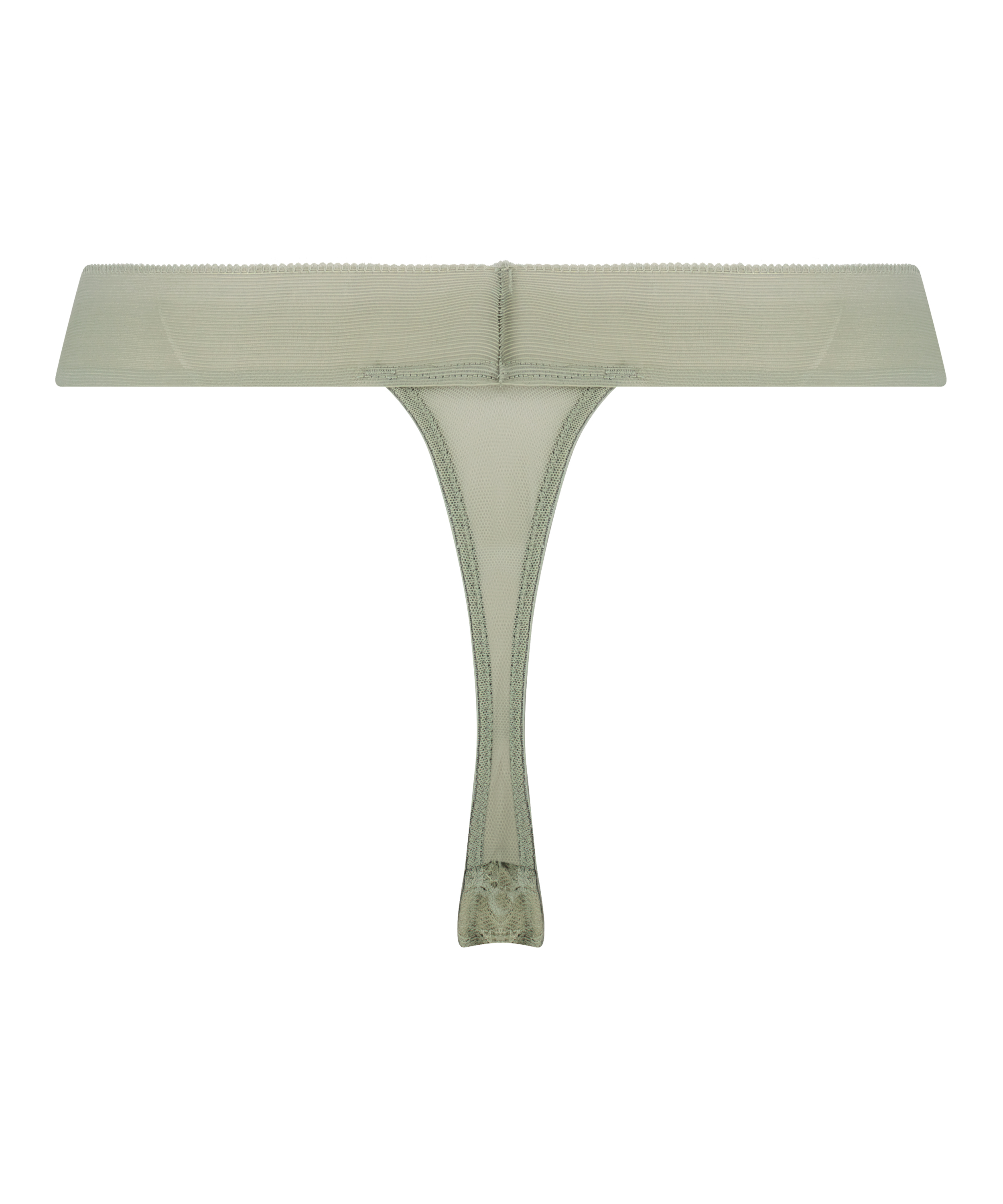 Chione stringi, Zielony, main