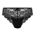 Brazyliany Teddy, Czarny