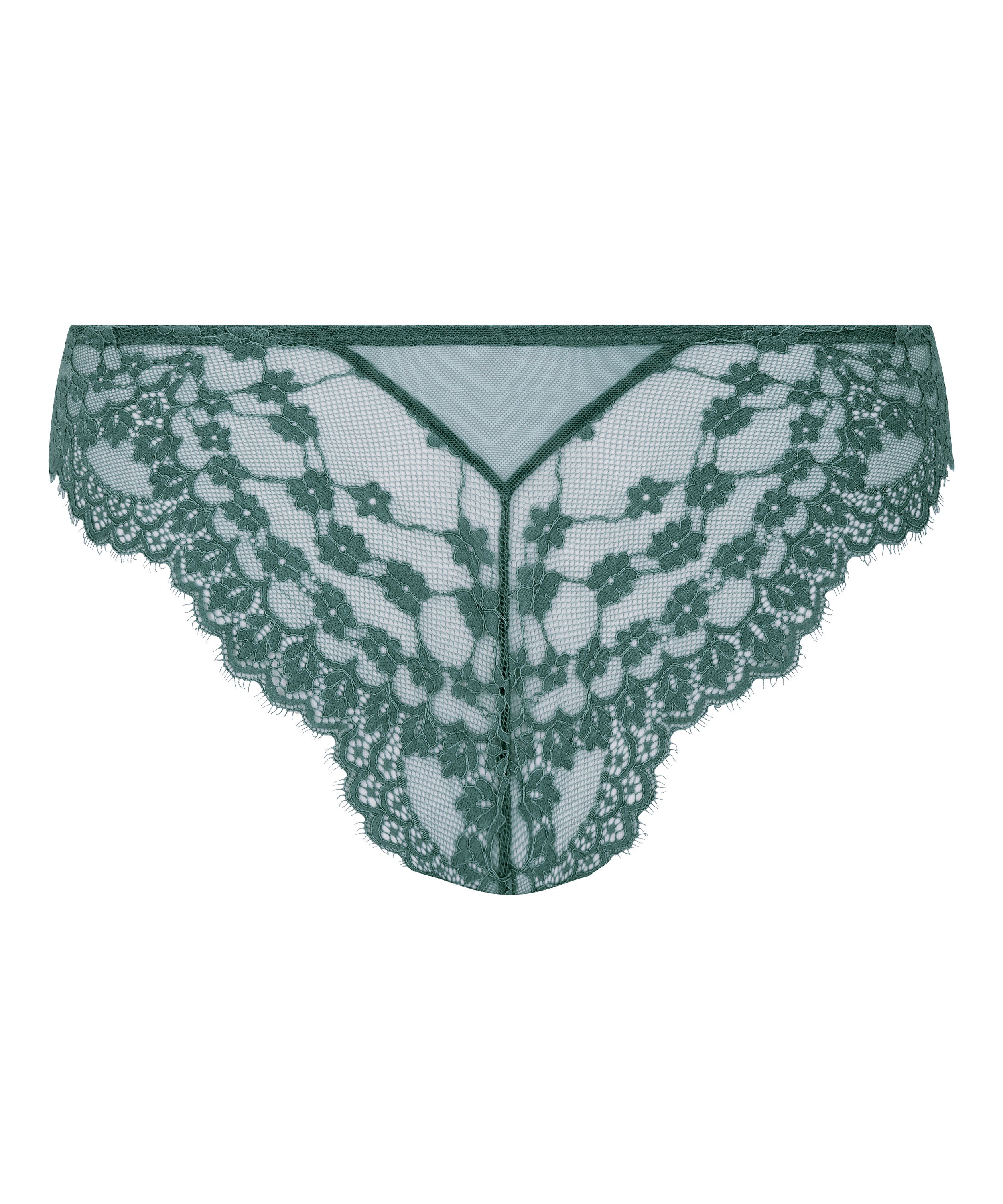 Brazyliany Daisy, Niebieski, main