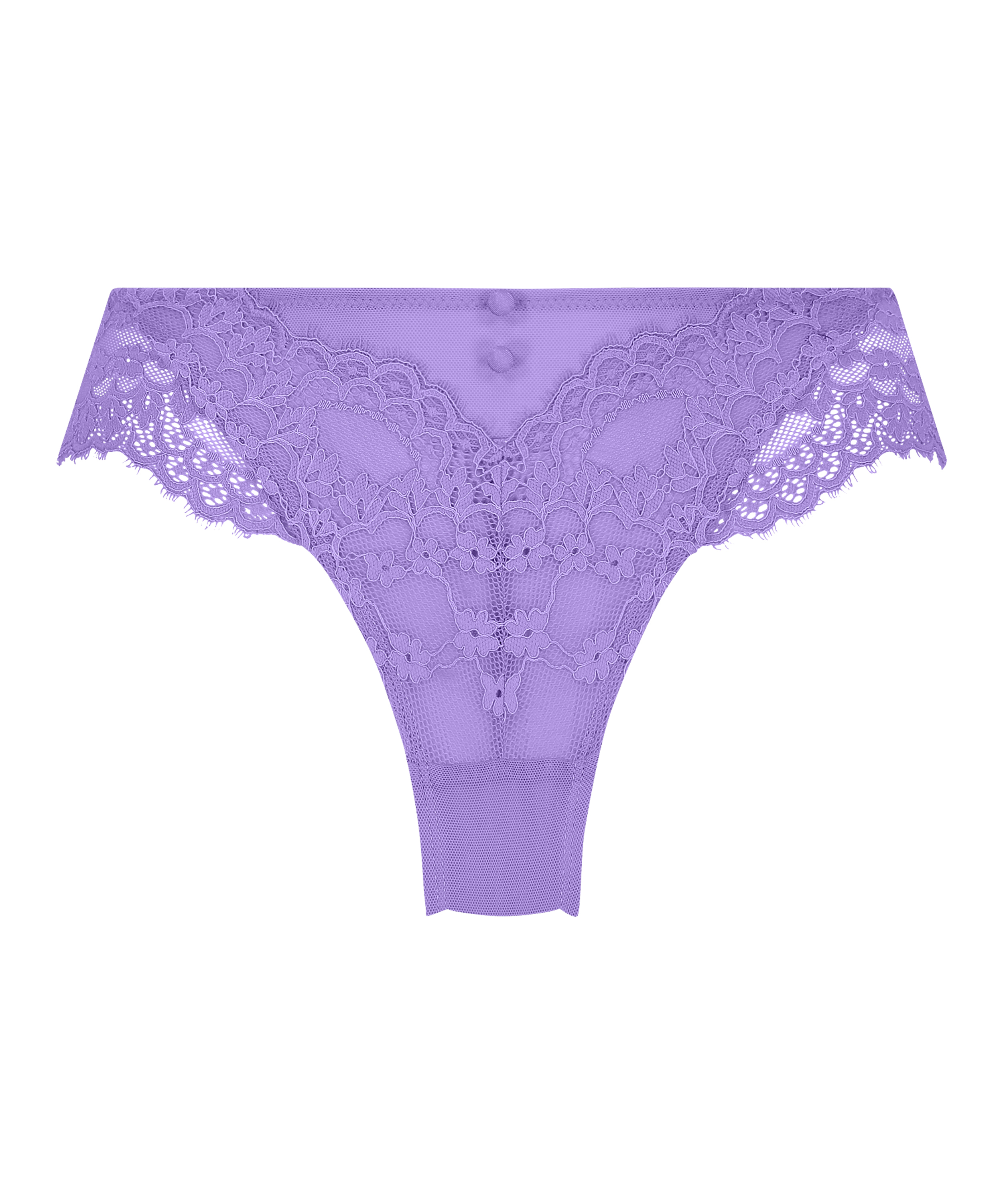 Brazyliany Daisy, Fioletowy, main