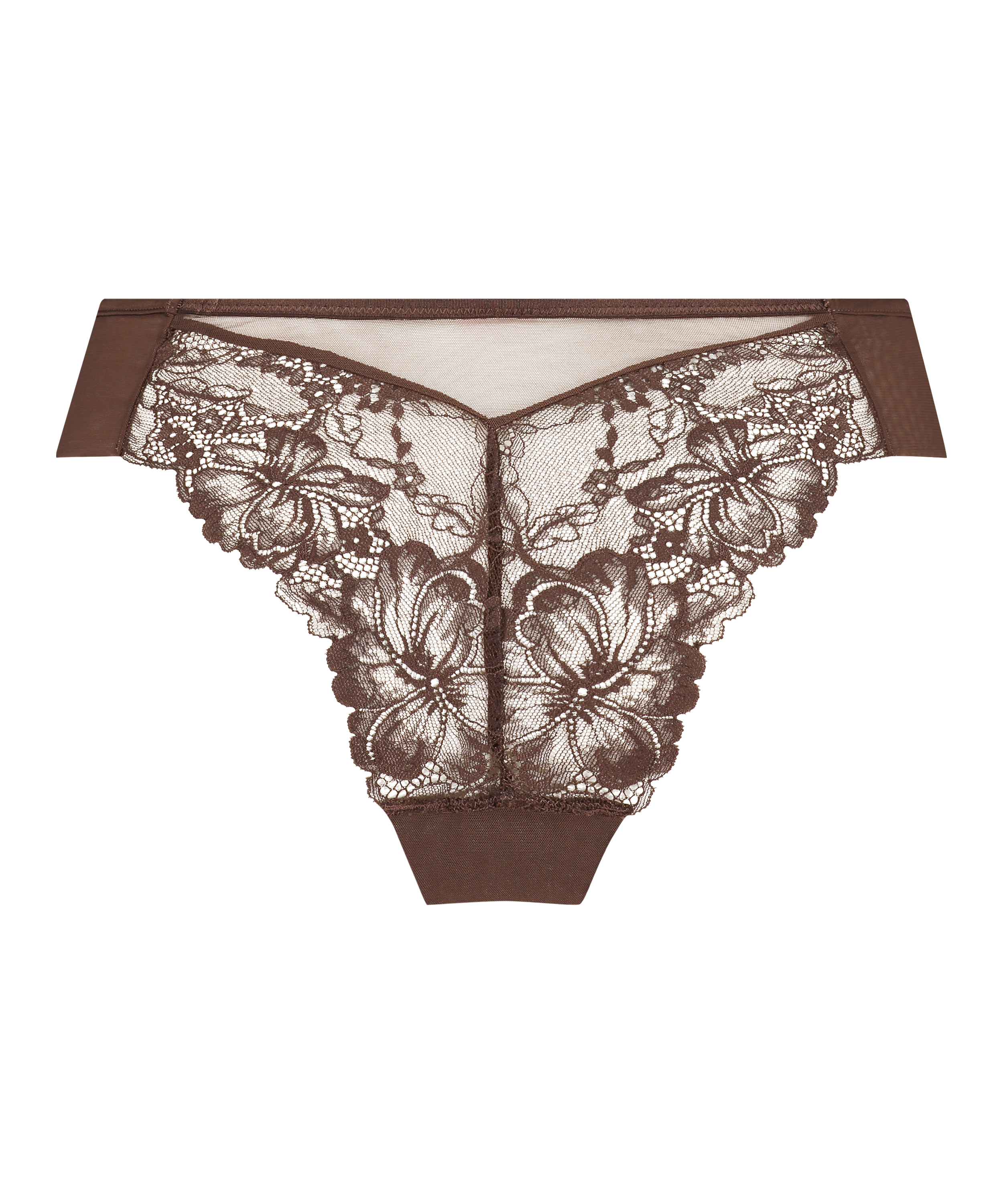 Brazylijskie Patrice, Brązowy, main