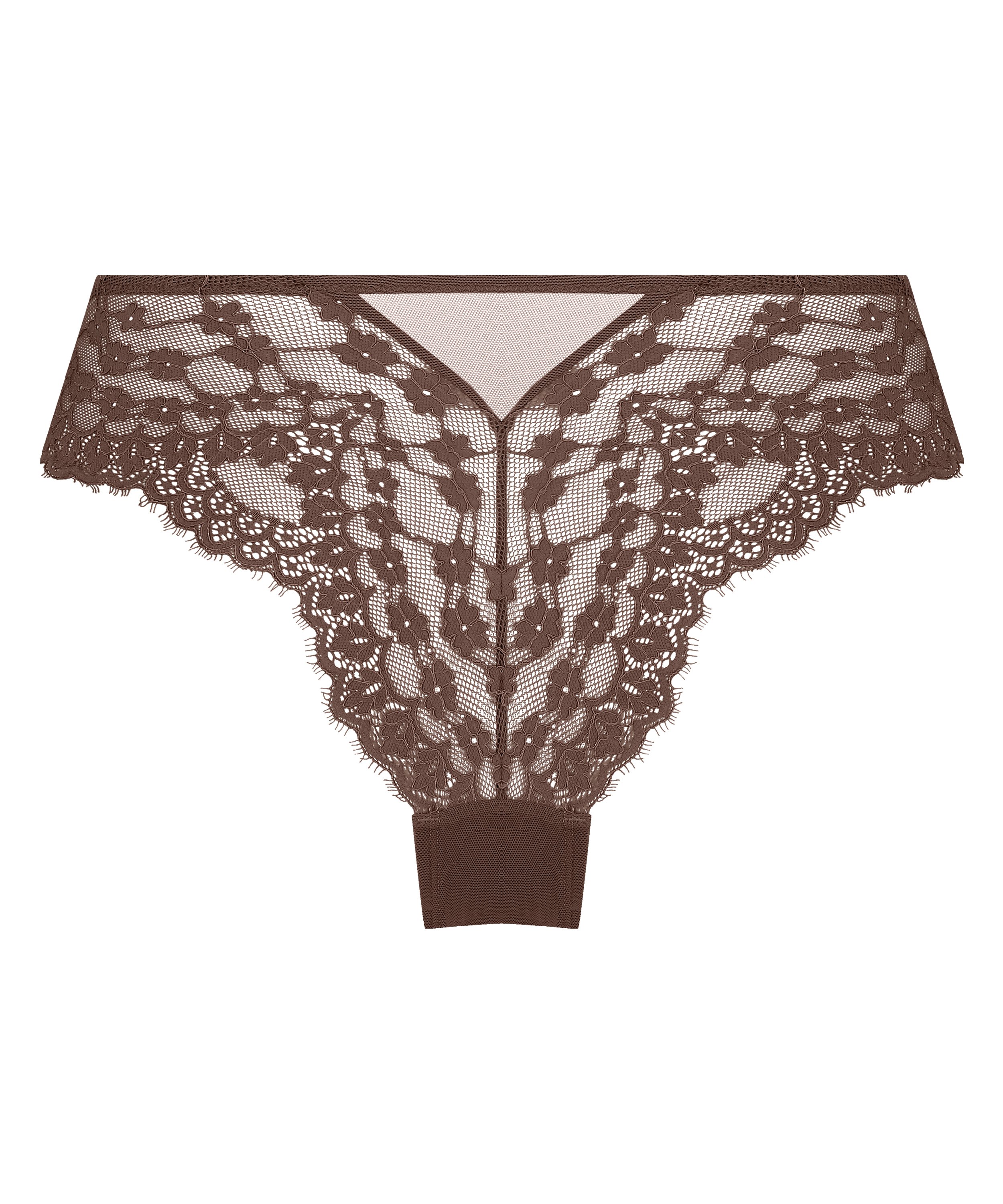 Brazyliany Daisy, Brązowy, main