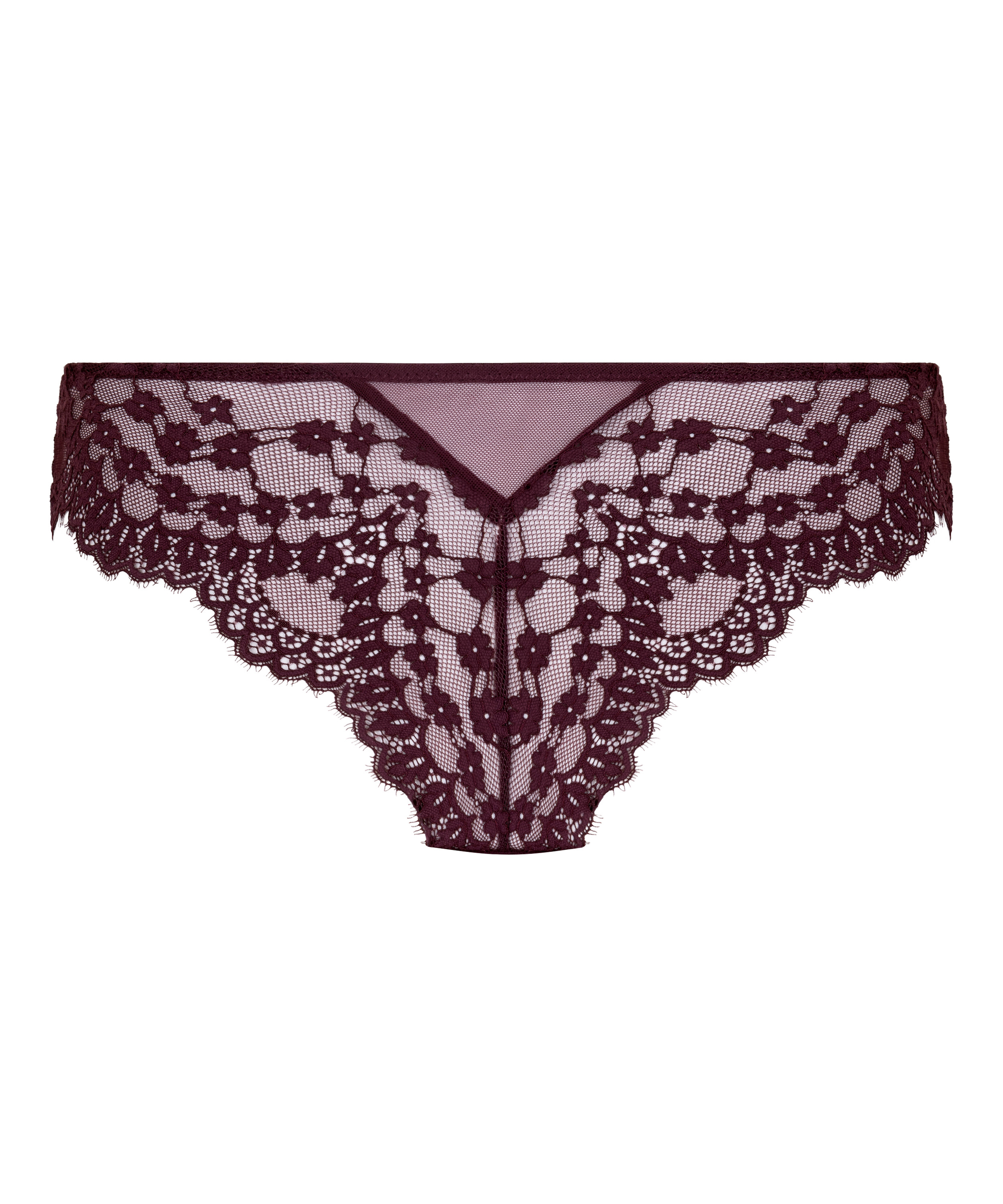 Brazyliany Daisy, Fioletowy, main