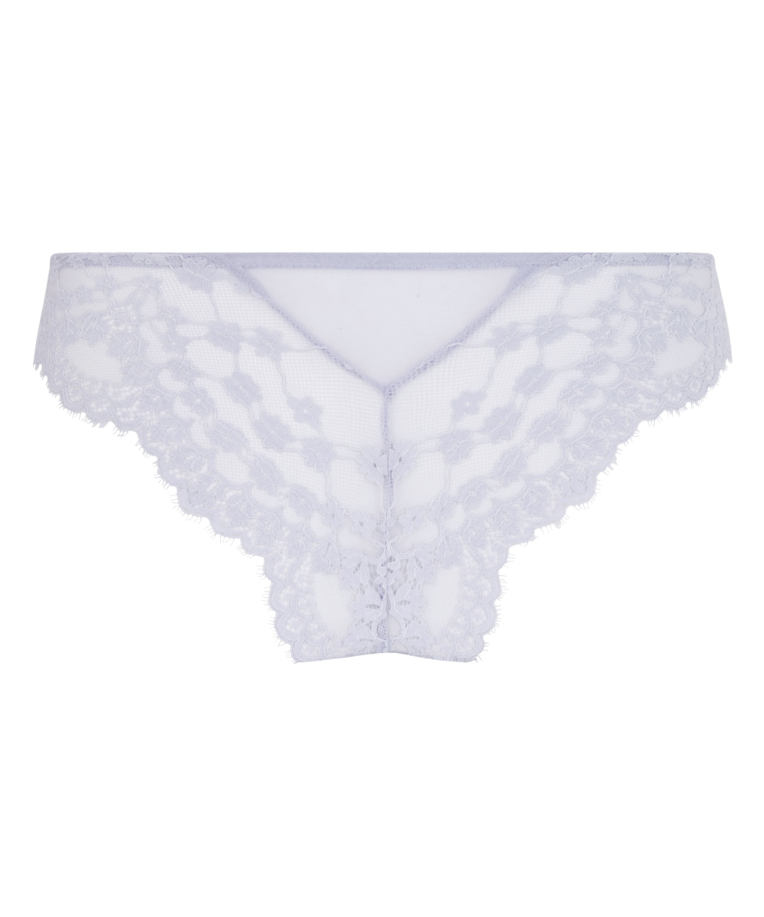 Brazyliany Daisy, Fioletowy, main