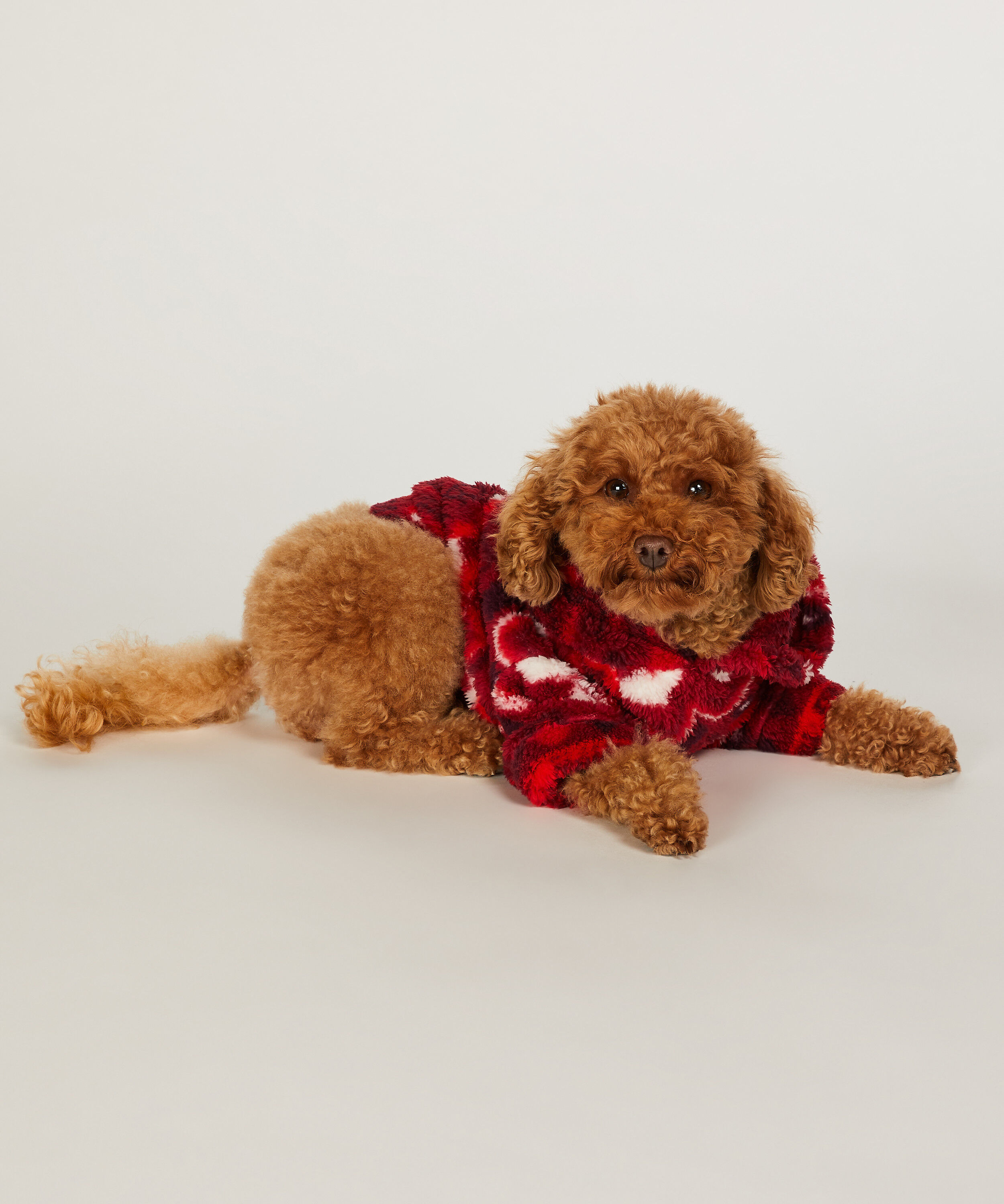 Pies Onesie, Czerwony