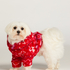 Pies Onesie, Czerwony