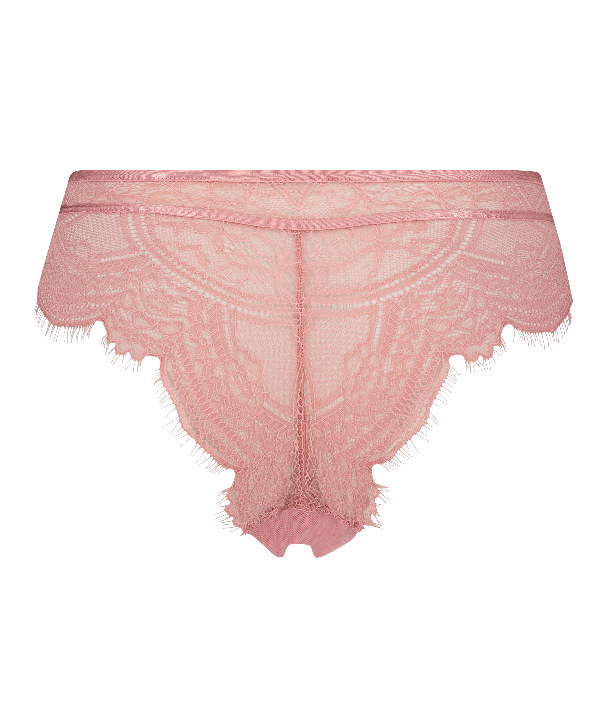 Brazyliany Lillie, Fioletowy, main