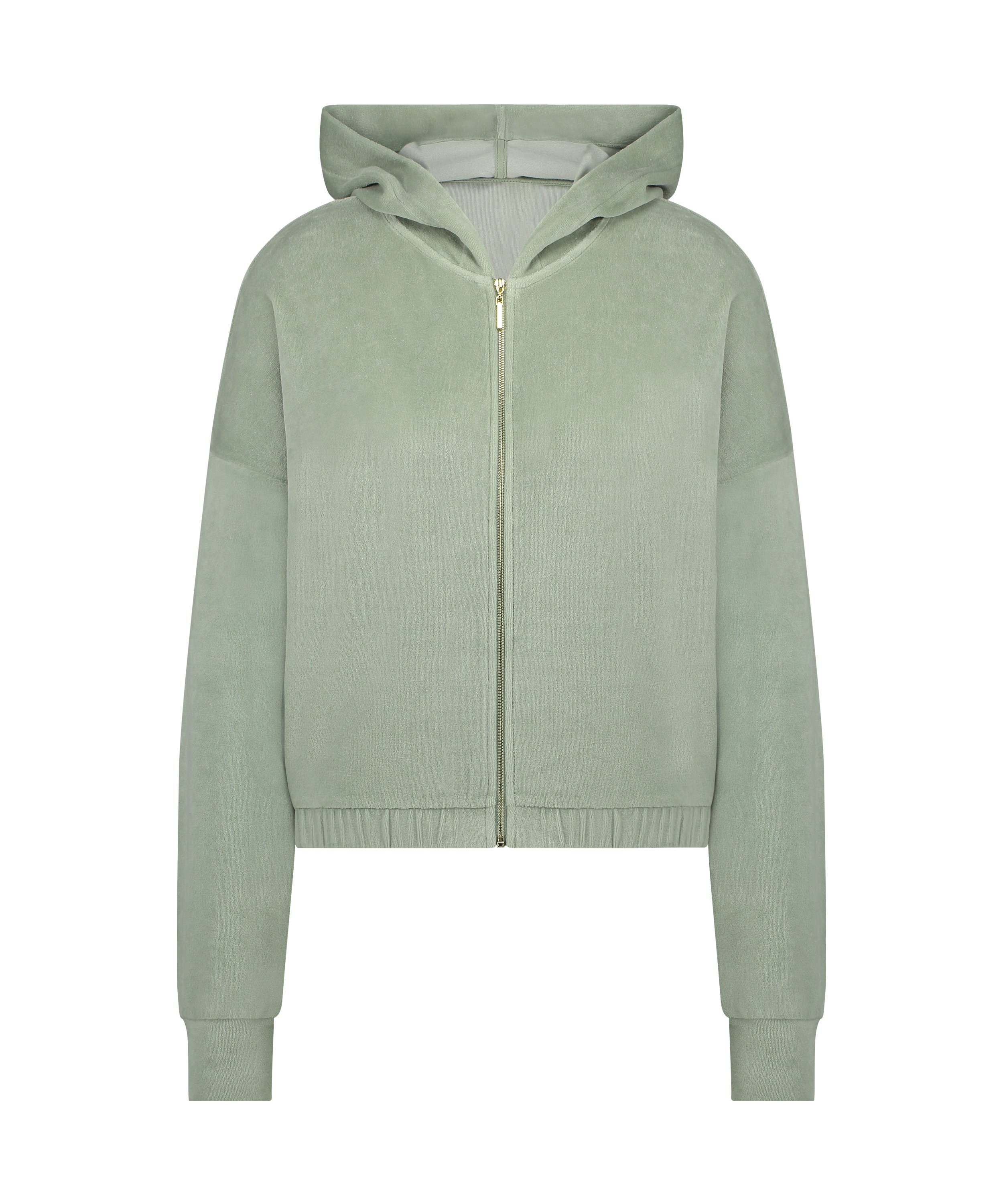 Bluza z długimi rękawami z weluru, Zielony, main