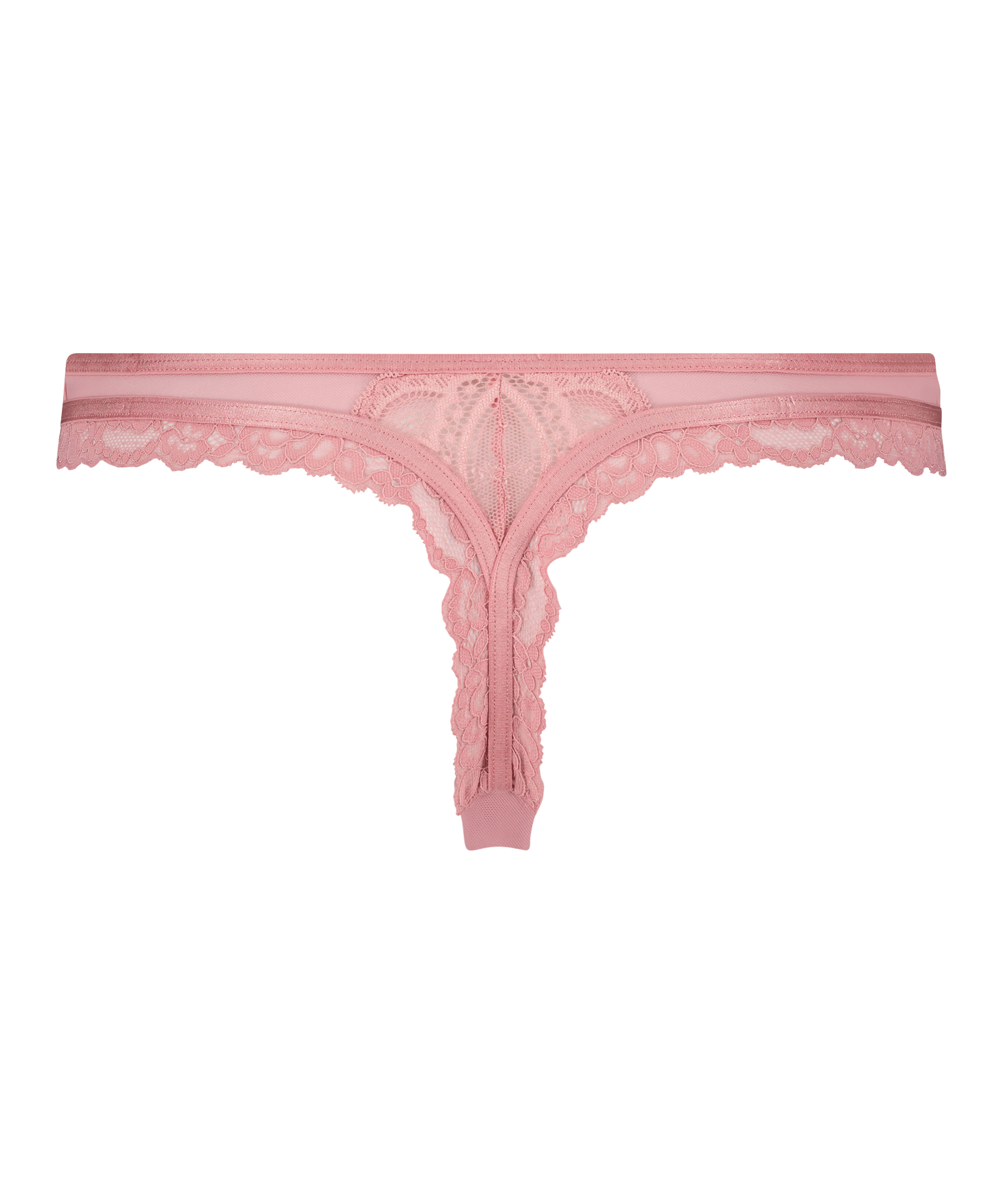 Stringi Cia, Fioletowy, main