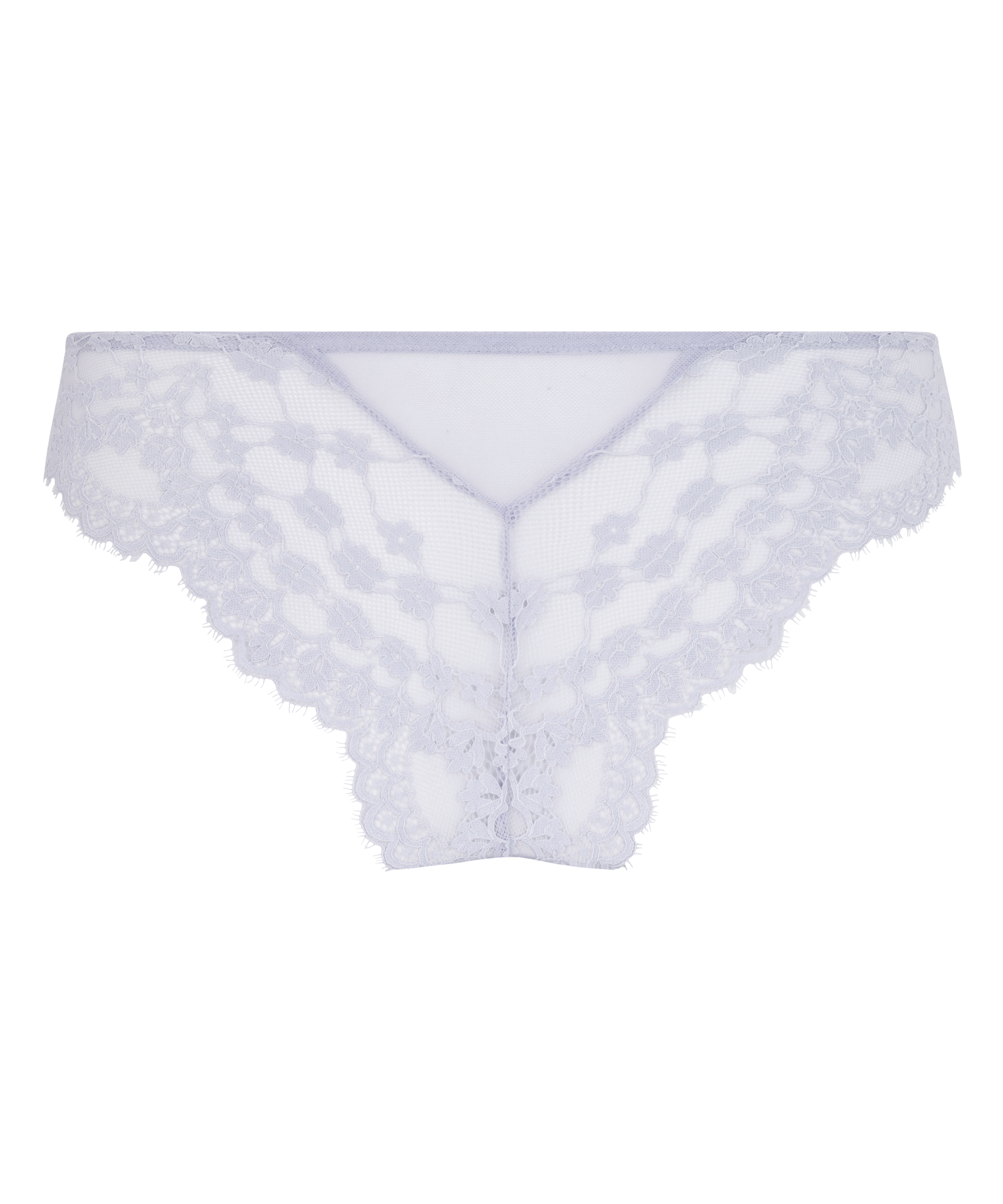 Brazyliany Daisy, Fioletowy, main