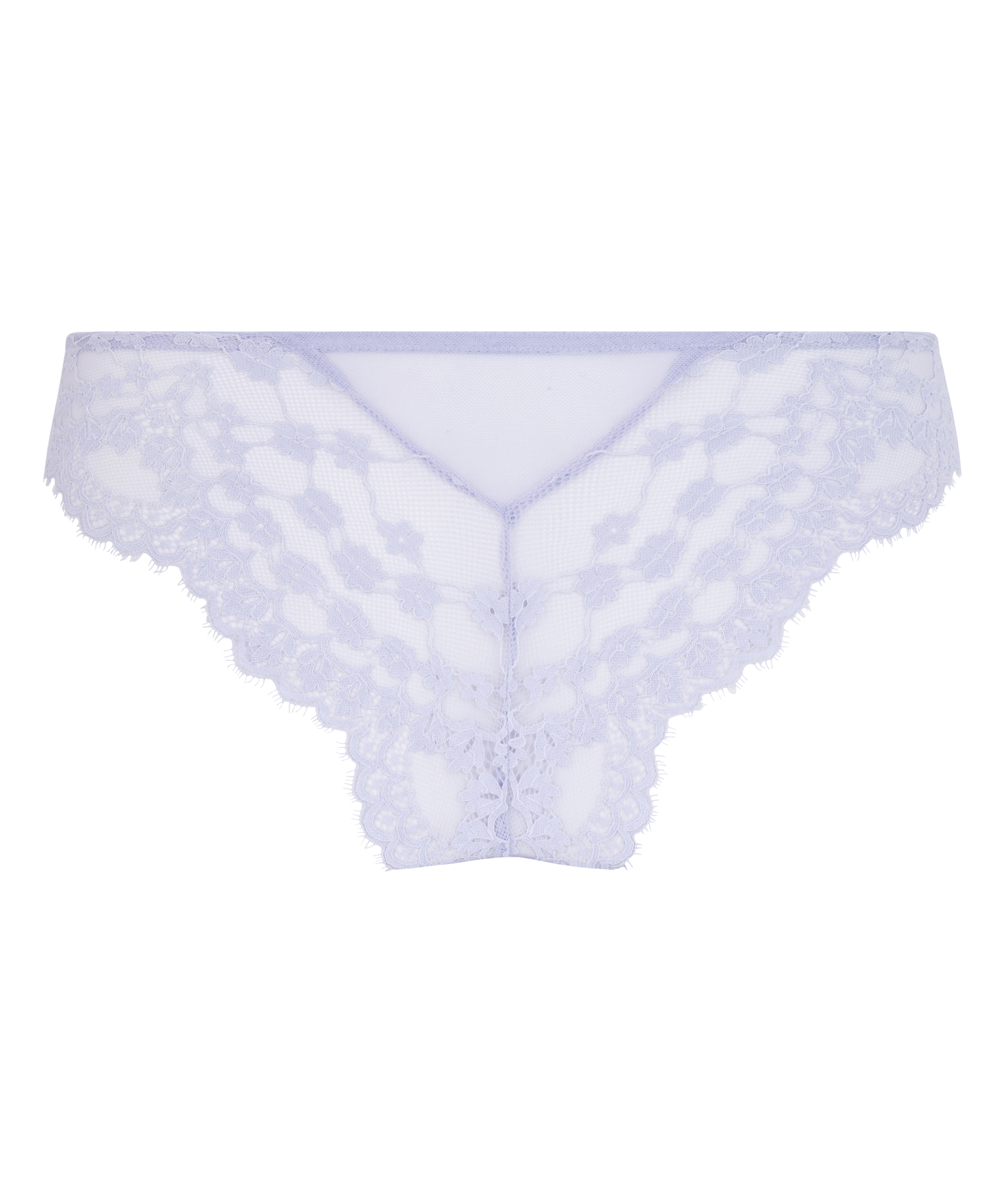 Brazyliany Daisy, Fioletowy, main