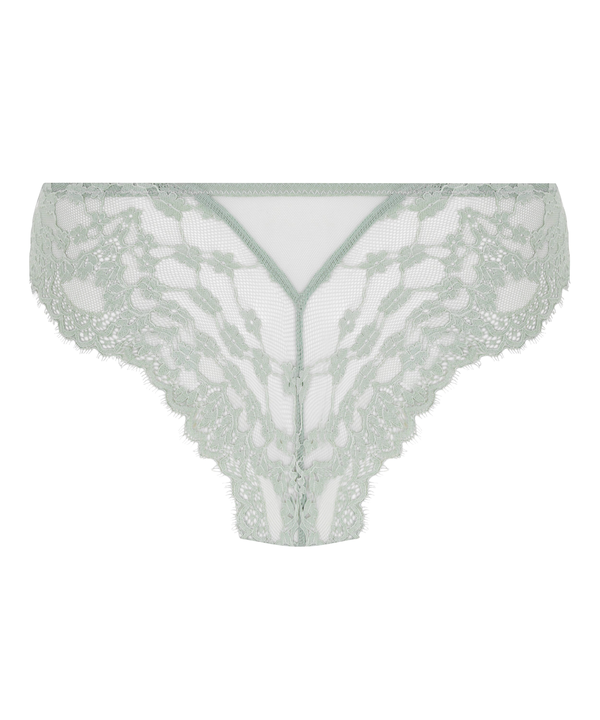 Brazyliany Daisy, Zielony, main